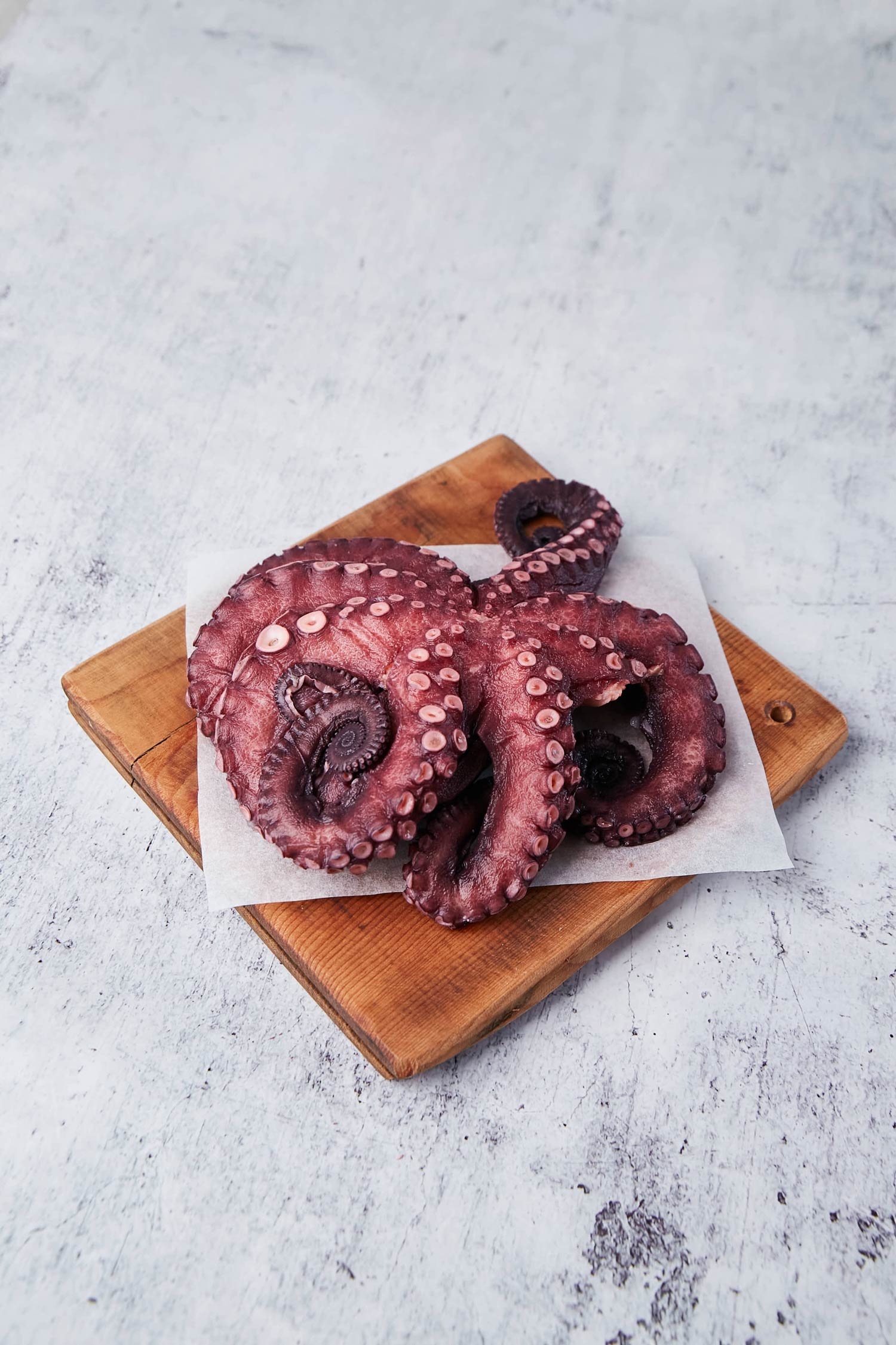 PULPO COCIDO DE IQUIQUE