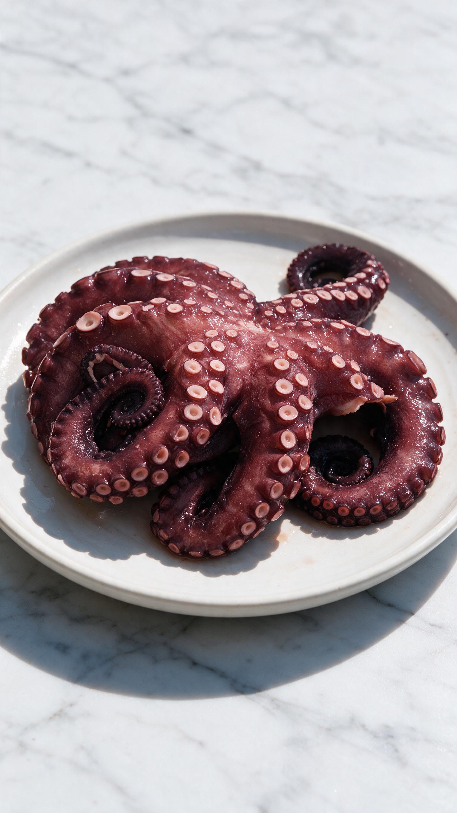 PULPO COCIDO DE IQUIQUE