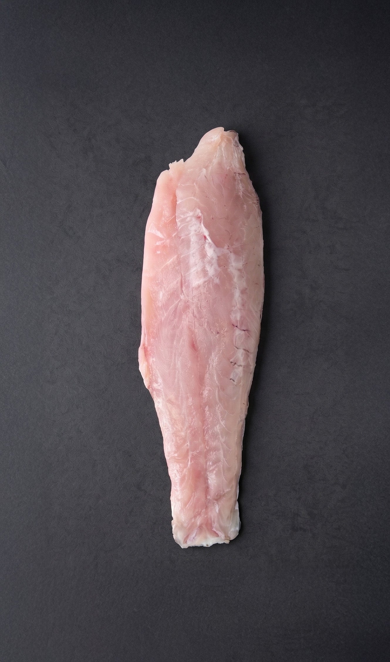 RÓBALO