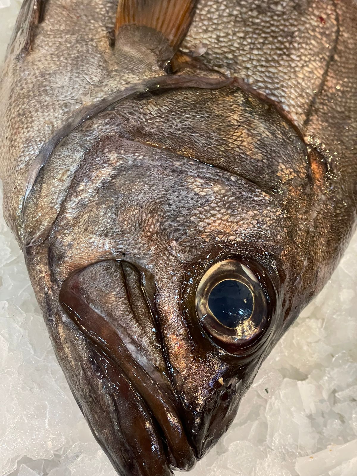 APAÑADO - 1 kg