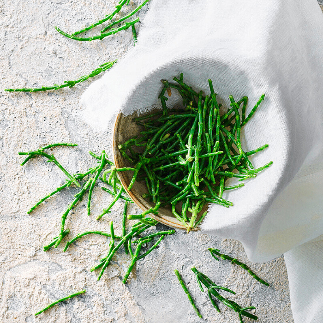 SALICORNIA - 250 gr