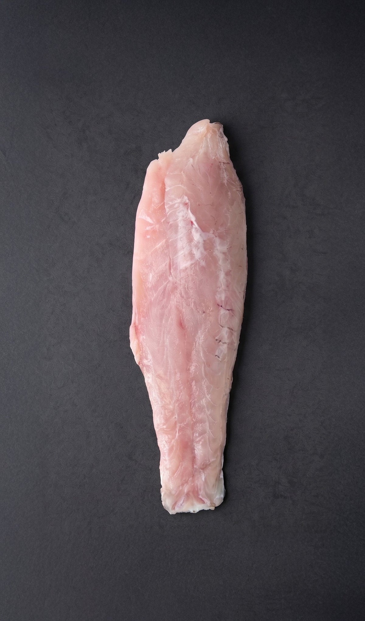 RÓBALO - 1 kg