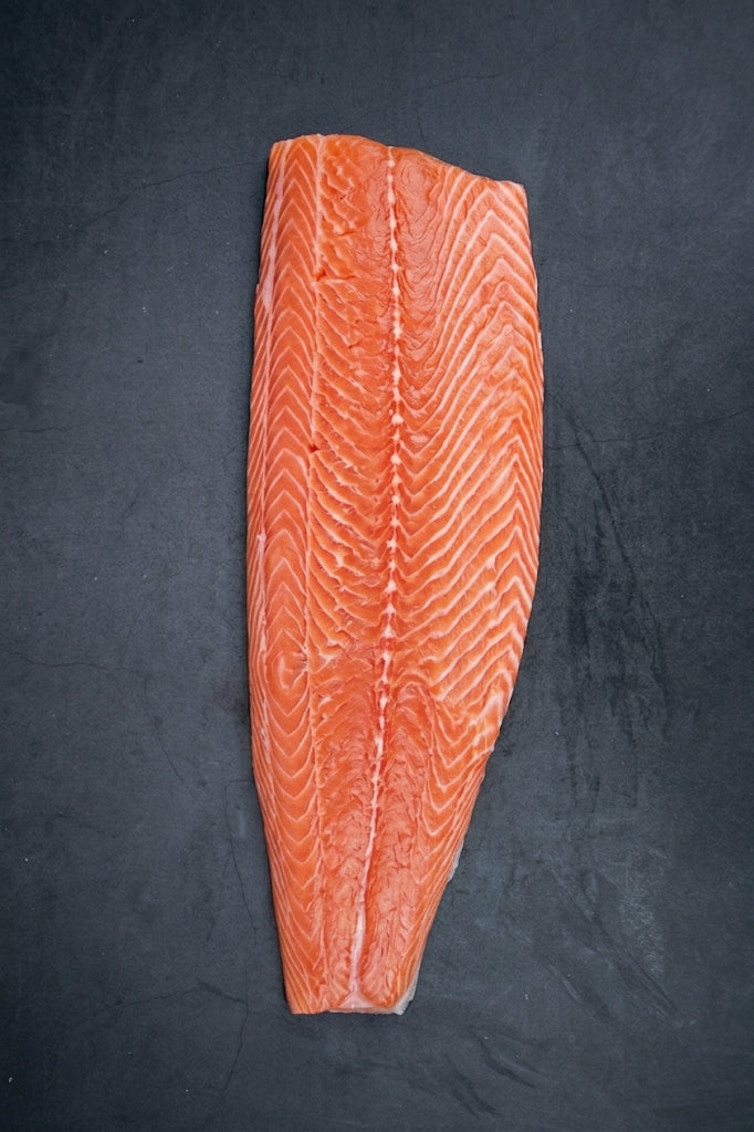 SALMÓN